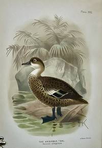 Indian Ducks And Their Allies; Reprinted From The Bombay National History Society Journal: With Corrections & Additions