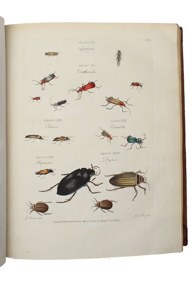 The Genera Insectorum of Linnaeus exemplified by various Specimens of English Insects drawn from Nature (engraved title) - Les Genres des Insectes de Linné; constatés par divers Échantillons D'Insectes D'Angleterre, copiés d'apres Nature (printed t... (photo 3)