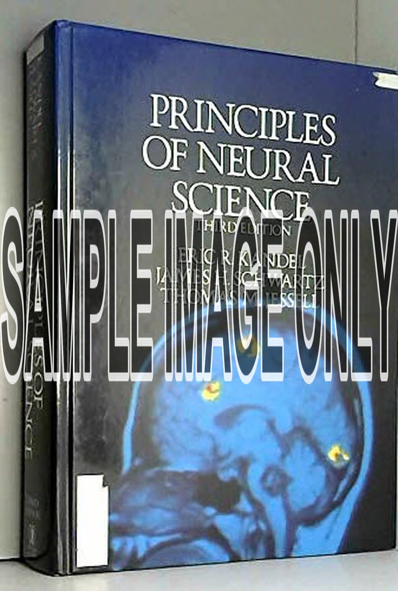 Principles of Neural Science by Eric R. Kandel | Hardcover