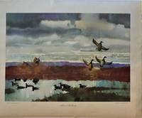 image of Three Mallards (Vintage Art Poster)