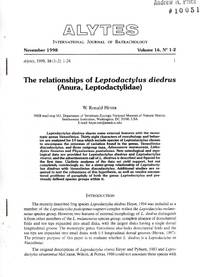 image of The Relationships of Leptodactylus diedrus (Anura, Leptodactylidae)