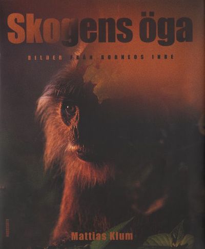 SKOGENS ÖGA. Bilder från Borneos inre.