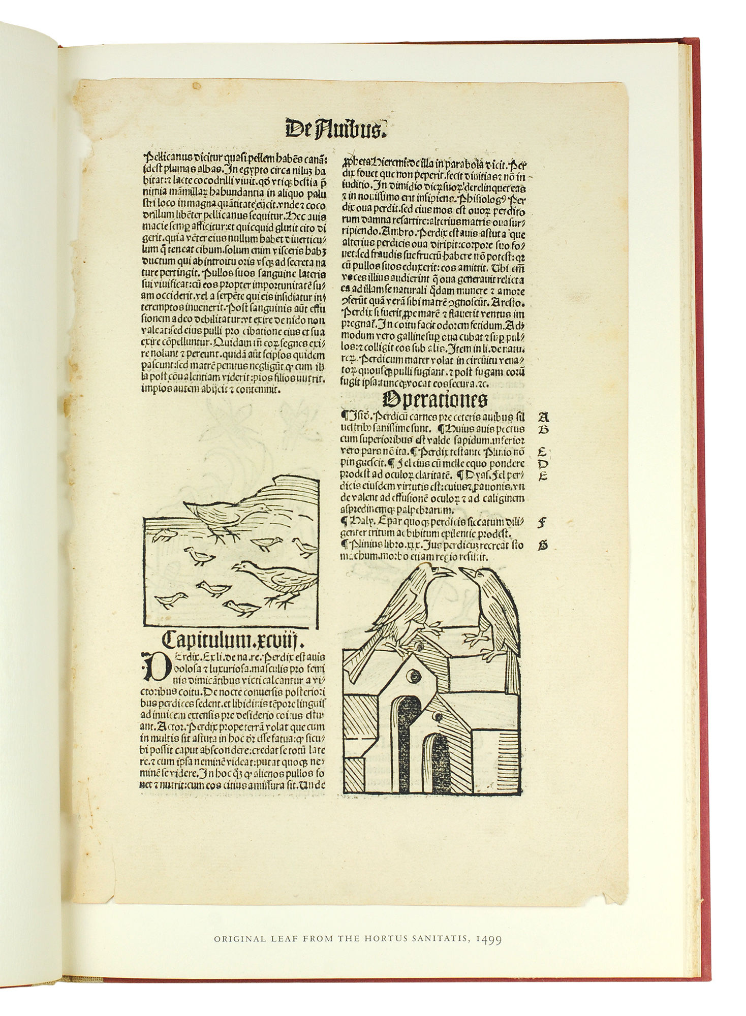 The Garden of Health. An Account of Two Herbals. The “Gart der