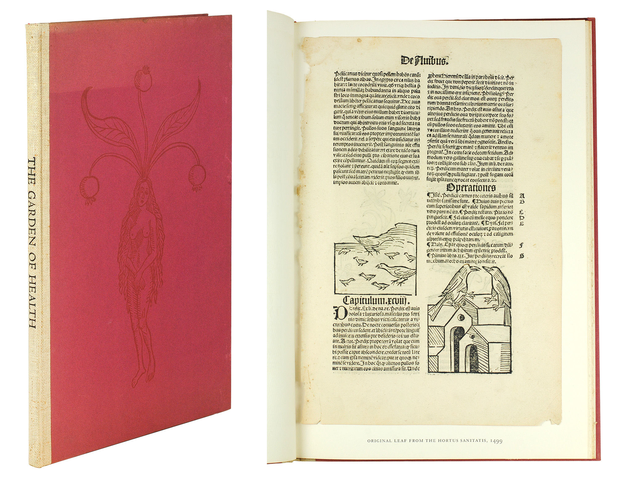 The Garden of Health. An Account of Two Herbals. The “Gart der