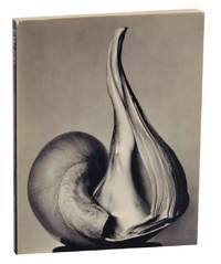EW: 100 Centennial Essays in Honor of Edward Weston. Untitled 41