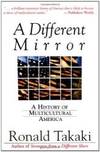 A Different Mirror
