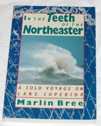 In the Teeth of the Northeaster: A Solo Voyage on Lake Superior