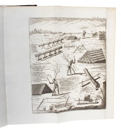 Von Fällung der Wälder und gehöriger Anwendung des gefällten Holzes oder wie mit dem Schlag=Holz, dann halb= und ganz aufgewachsenem Ober=Holz, umzugehen, und alles benannte Holz richtig zu schäzen und auszuschlagen ist, nebst einer Beschreibung der H... (photo 3)