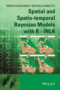 Spatial Bayesian Cloth
