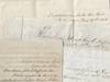 1873-1883 –A ten-year correspondence collection from a future head librarian of the University of Nevada updates his cousin on a periodic basis after his pioneering family emigrated to California by covered wagon