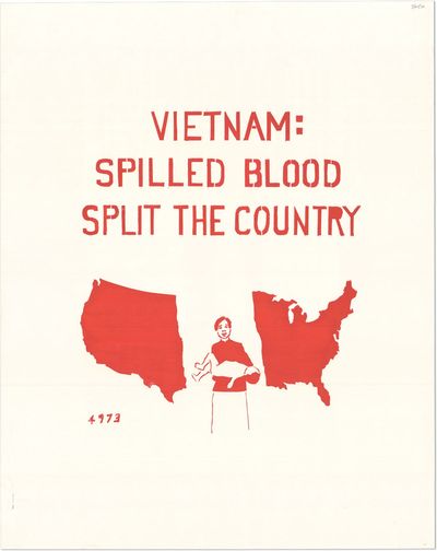 Vietnam: Spilled Blood Split the Country