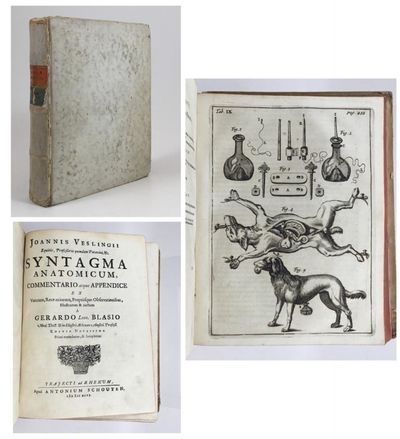 Syntagma anatomicum, commentario atque appendice…