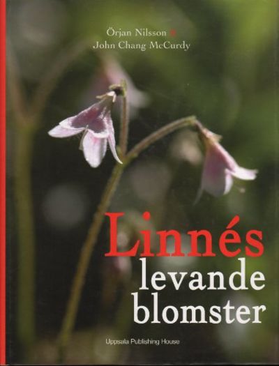 LINNÉS LEVANDE BLOMSTER.
