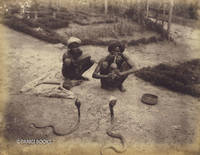 image of Albumen Print of Snake Charmers in Ceylon (Sri Lanka)