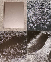 ONE PICTURE BOOK: CASCADE EFFECT by David Editors of Nazraeli Press & Maisel - Signed First Edition - 2008 - from Modern Rare (SKU: 14097)