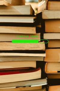 The Art of Fiction: Notes on Craft for Young Writers