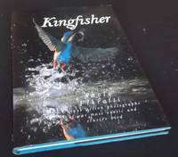 Kingfisher - Unique action photographs of our most exotic and elusive bird