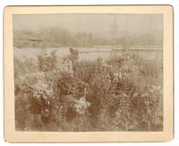 [Salt Lake City Garden Photograph]