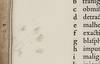 View Image 13 of 19 for Polygraphie et universelle écriture cabalistique. Traduicte par Gabriel de Collange, natif de tours... Inventory #5247