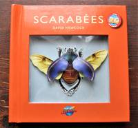 image of Scarabées