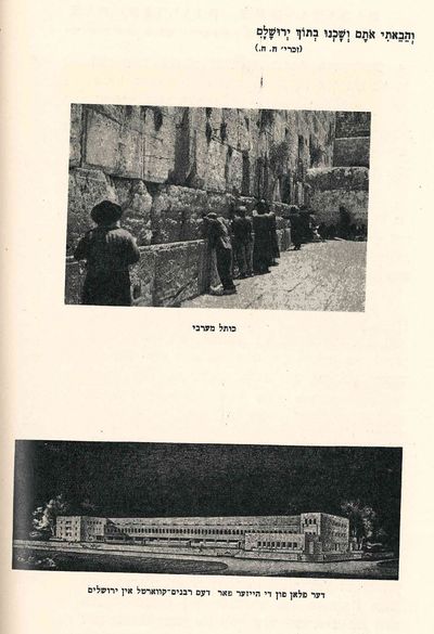 Report iber der tetikayt un oyfthuen...; (photo 5)