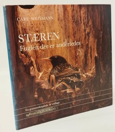Stæren. Fuglen der er anderledes.