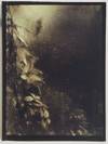 Ruze pro Josefa Sudka 1896–1976 (A Rose for Josef Sudek 1896–1976)