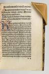 DE REFORMATIONE VIRIUM ANIMAE