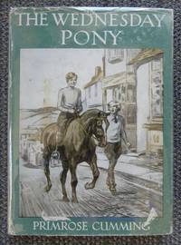 image of THE WEDNESDAY PONY.