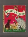 Animal Babies