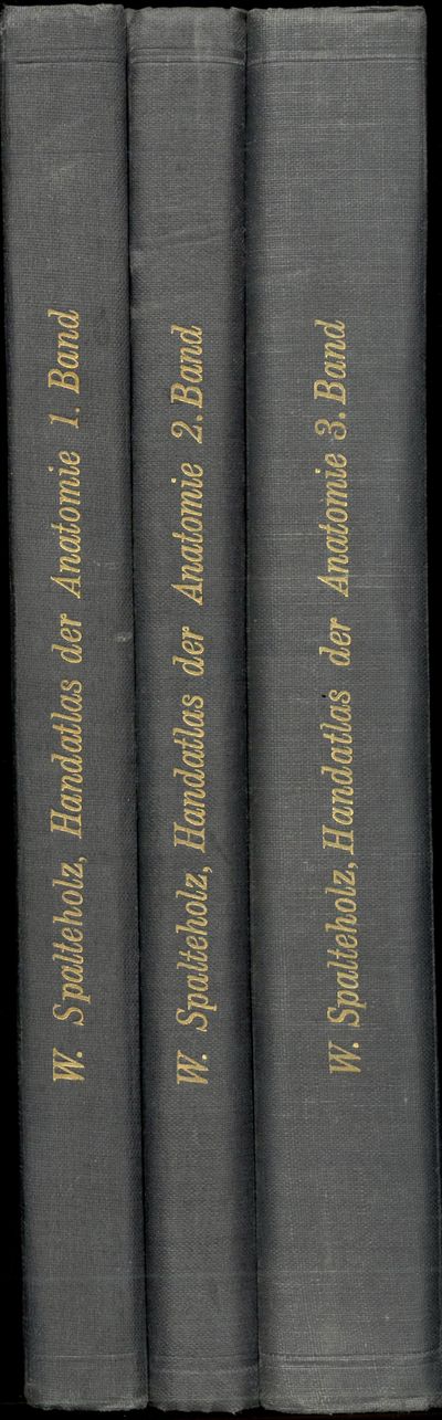 Handatlas der anatomie des menschen von Werner Spalteholz ao. professor der anatomie an der universitat Leipzig. Mit 1016 grösstenteils nach origialen von prof. Bruno Héroux hergestellten abbildungen. I-III. Zwölfte auflage, einundsechzigstes-siebzigstes tausend. (photo 2)