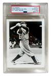 Goose Goslin Type IV Photo