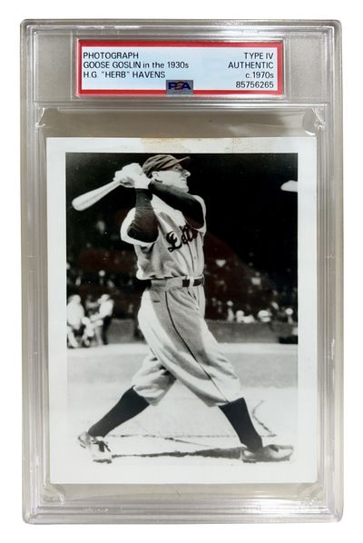 Goose Goslin Type IV Photo