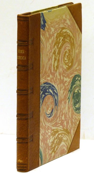 Arma Svecica: Das ist: Eigentliche und…