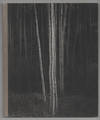 Light Years: The Friends of Photography 1967-1987 - Untitled 43