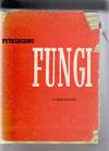 Pythiaceous Fungi, A review.