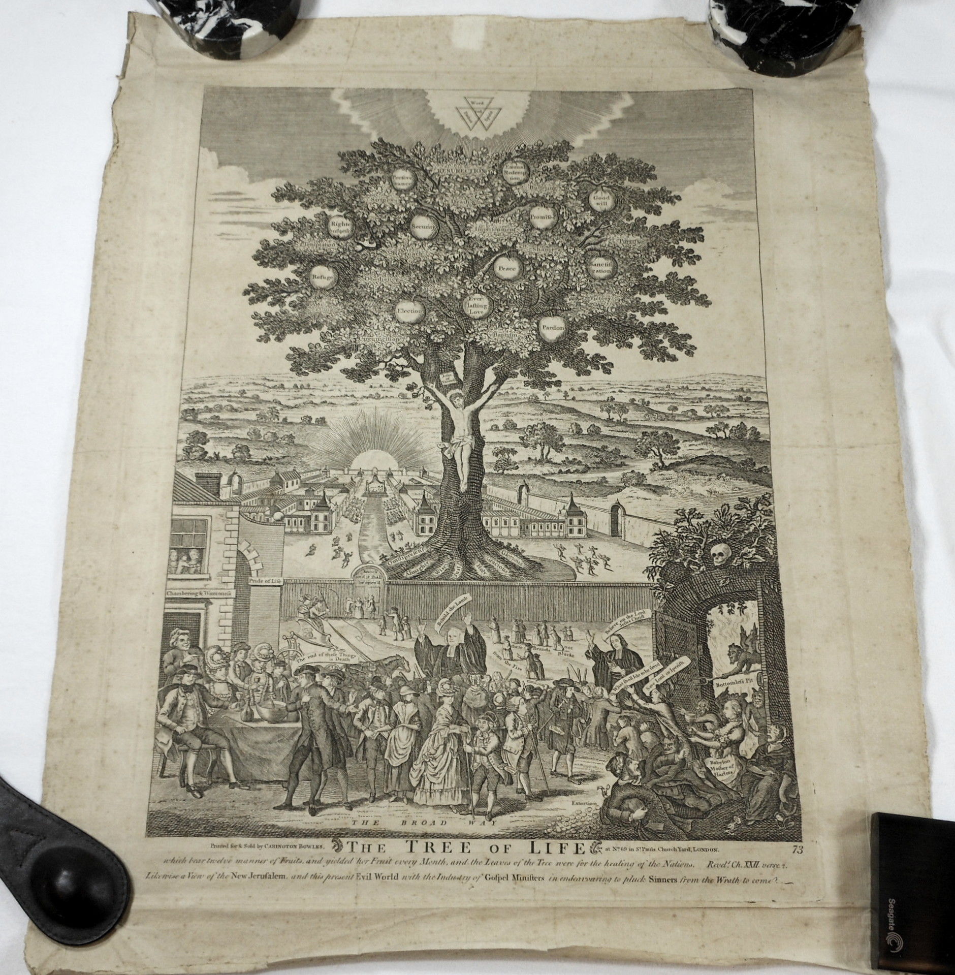 What are the twelve fruits of the tree of life