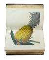 View Image 5 of 5 for Pomological Magazine or, Figures and Descriptions of the Most Important Varieties of Fruit Cultivate... Inventory #69004
