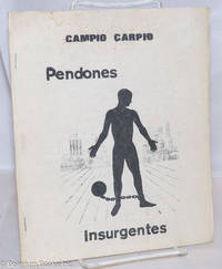 image of Pendones Insurgentes