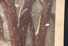 View Image 8 of 9 for Ida Siddons Burlesque Co. Grand Novel First Part Snow Scene Inventory #22879