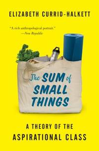 The Sum of Small Things : A Theory of the Aspirational Class