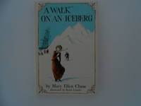 A Walk on an Iceberg