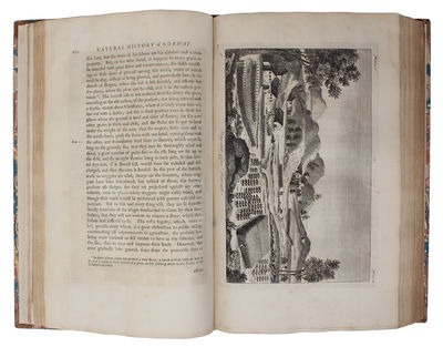 The Natural History of Norway: containing, a particular Account of the Temperature of the Air, the different Soils, Water, Vegetables, Metals, Minerals, Stones, beasts, Birds, and Fishes: together with the Dispositions, Customs, and Manner of Living o... (photo 3)