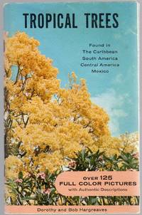 image of Tropical Trees Found in The Caribbean South America Central America Mexico