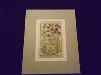 Paradisi in Sole Paradisus Terrestris or, Garden of All Sorts of Pleasant Flowers…