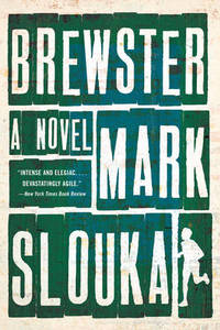 cover of Brewster: A Novel