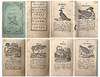 A History of Birds
