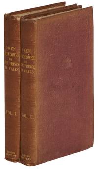 Owen Glendower; or, The Prince in Wales. An Historical Romance. In Two Volumes