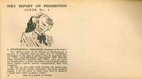 Jury Report on Prohibition" Historical Postal Covers