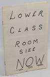 Lower class room size now